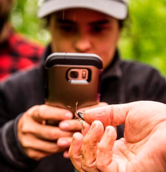 FRST iNaturalist (Credit Nature Conservancy World Office/Devan King)