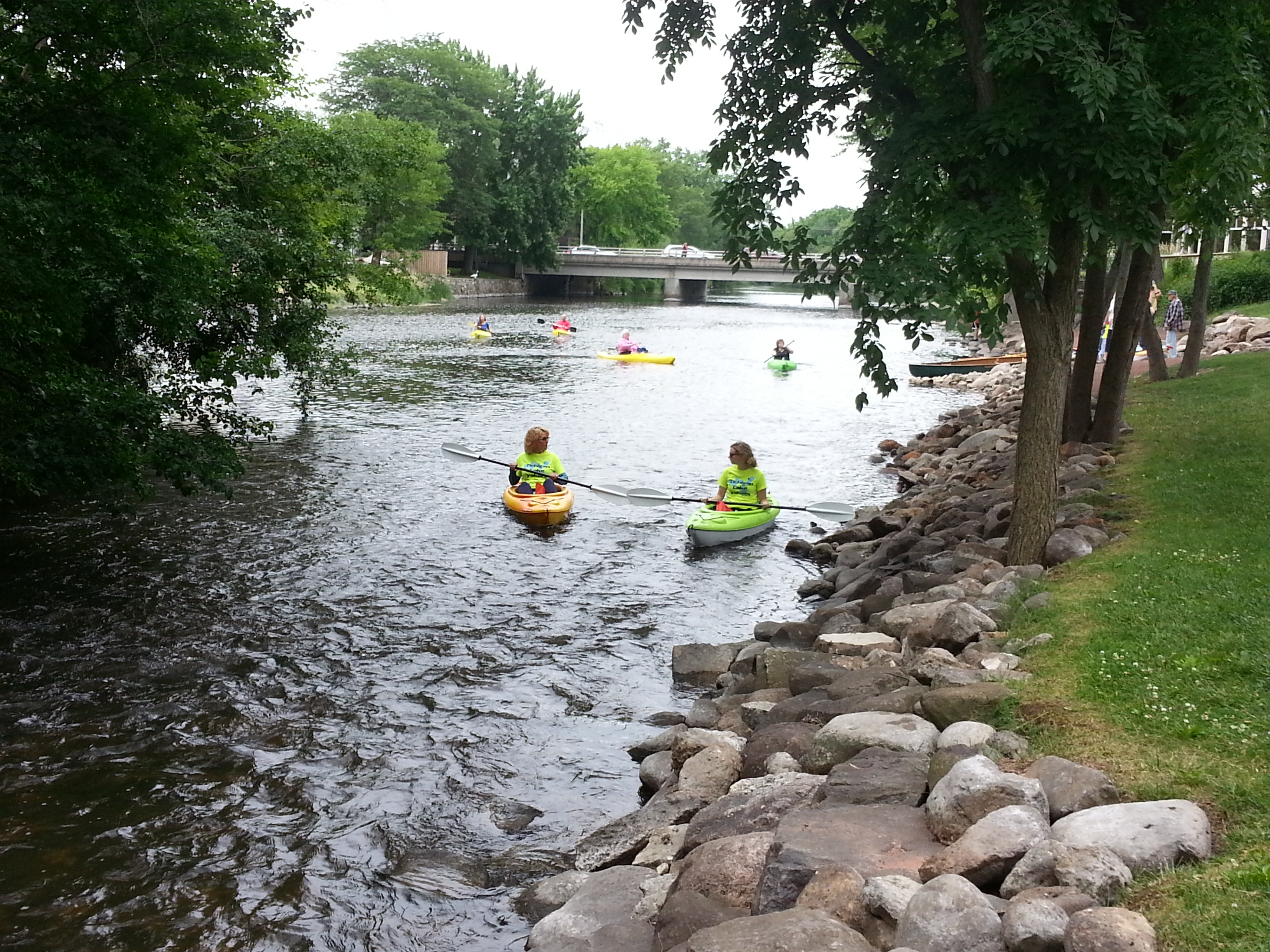 Six people in kayaks paddle down a river. Large trees line the banks.