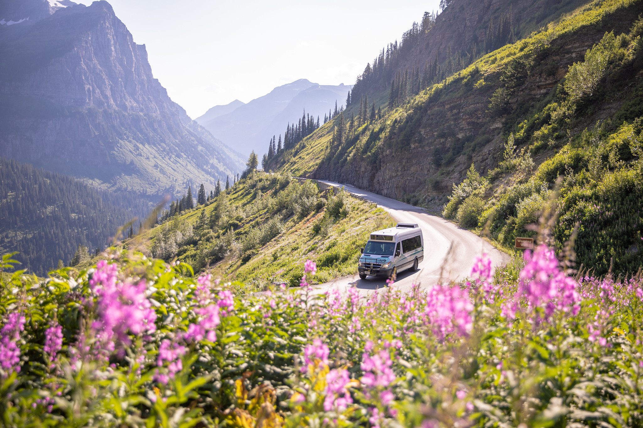Van driving a mountain road lined with purple flowers