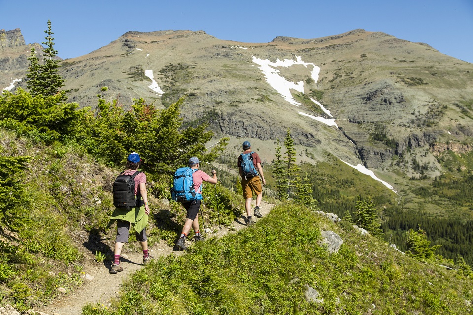Three hikers on a mountain trail