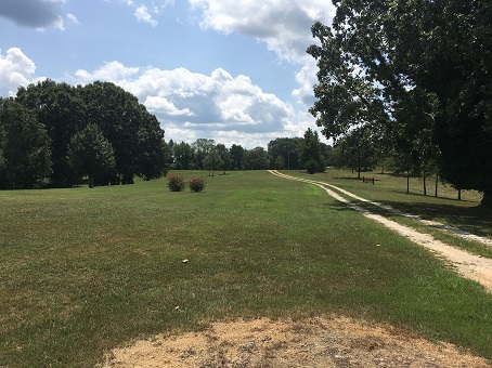 Image of open grassy field with trees on both sides and a dirt road running down the right side