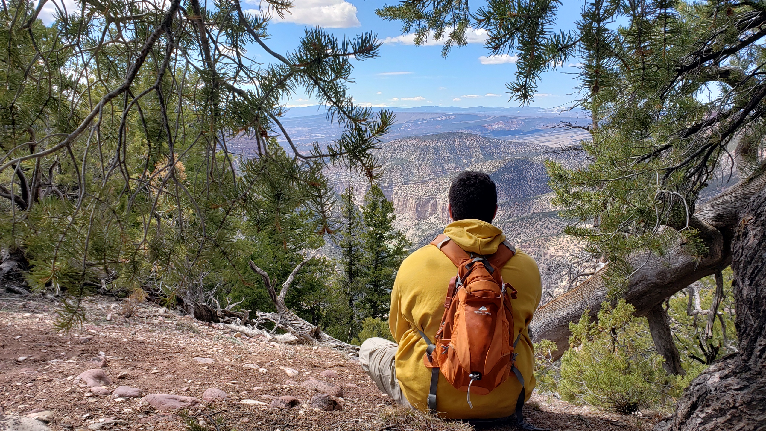 A visitor to Dinosaur National Monument enjoys the view from the Harpers Corner Trail. Visitor looks out over a rugged landscape.