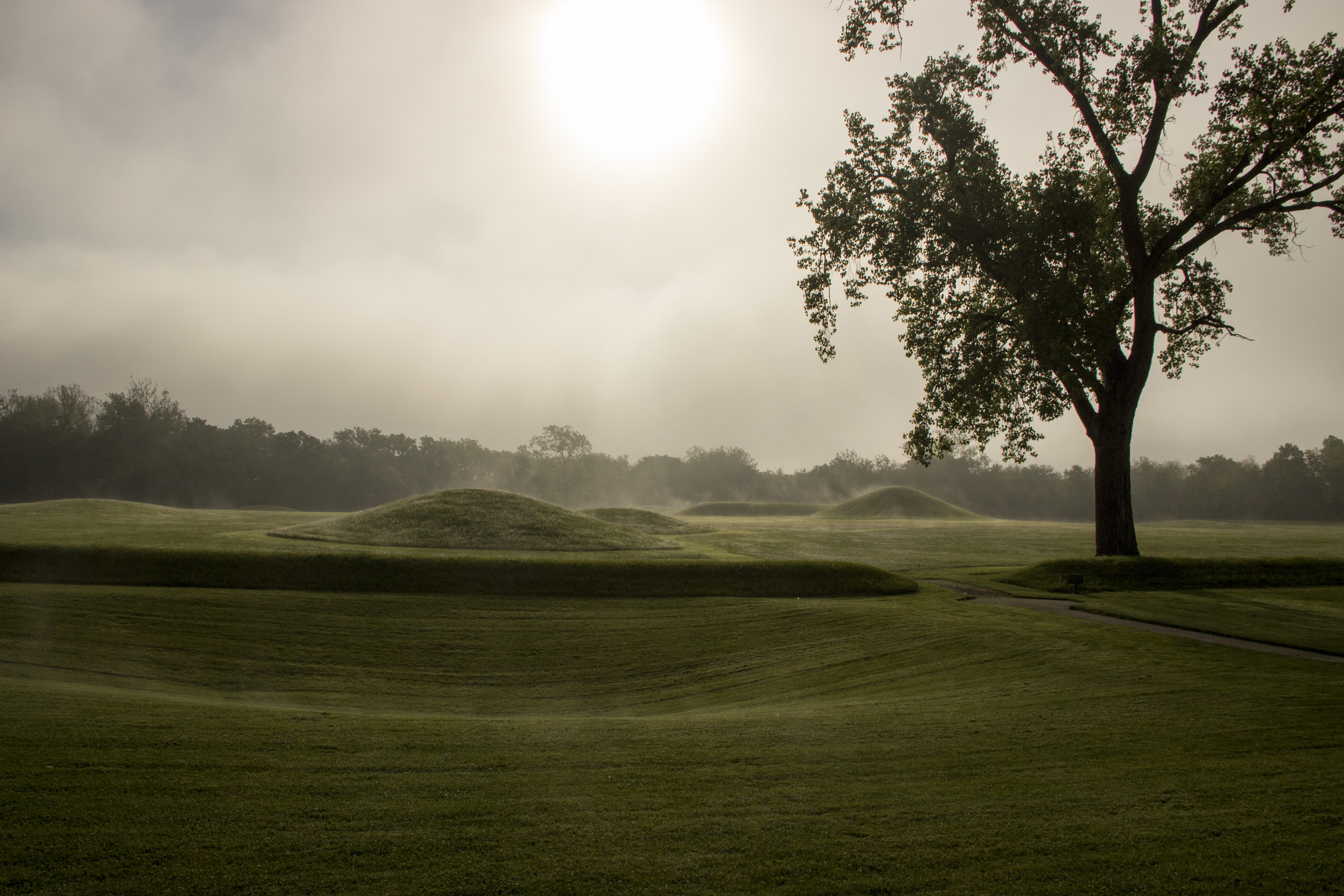 Steam fog lifts up from the mounds at Mound City Group on a cool summer morning