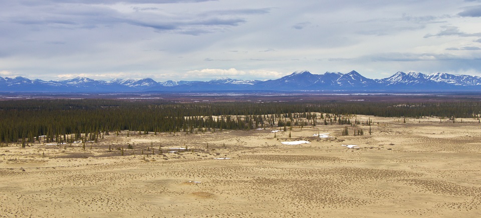 Sand dunes with a forest and mountain range in the background