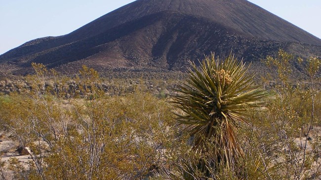 Cinder Cone National Natural Landmark in Mojave National Preserve, California.