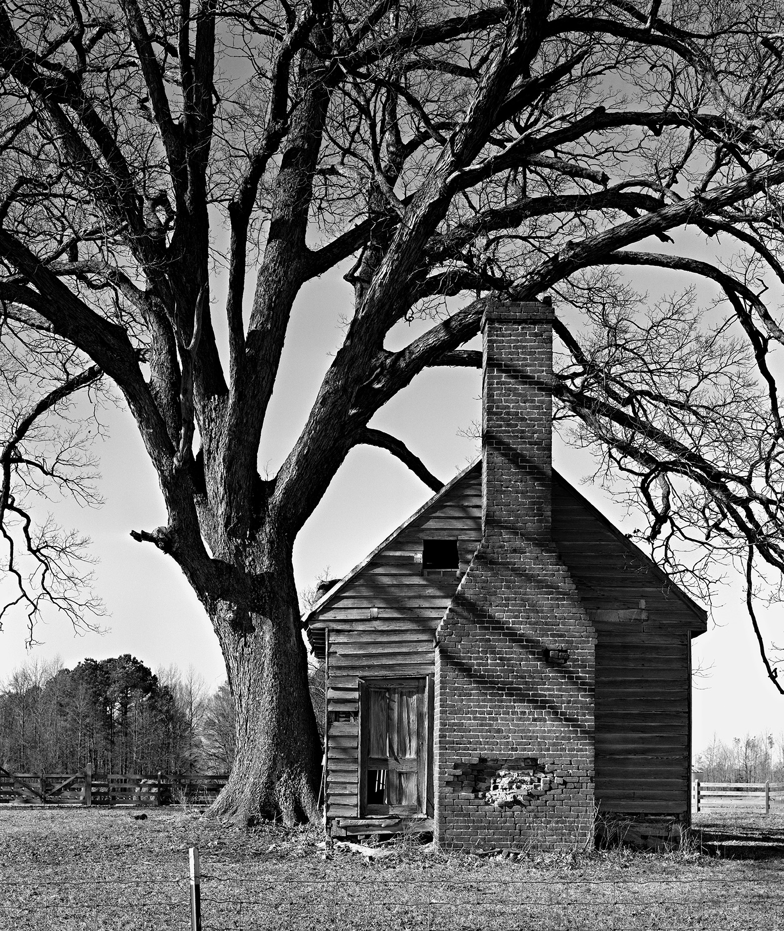 NCPTT Black and white photo of a wooden cottage with a large tree in the yard.