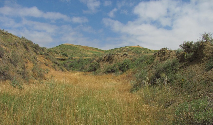 West Bijou Site National Natural Landmark Grassy hills and field