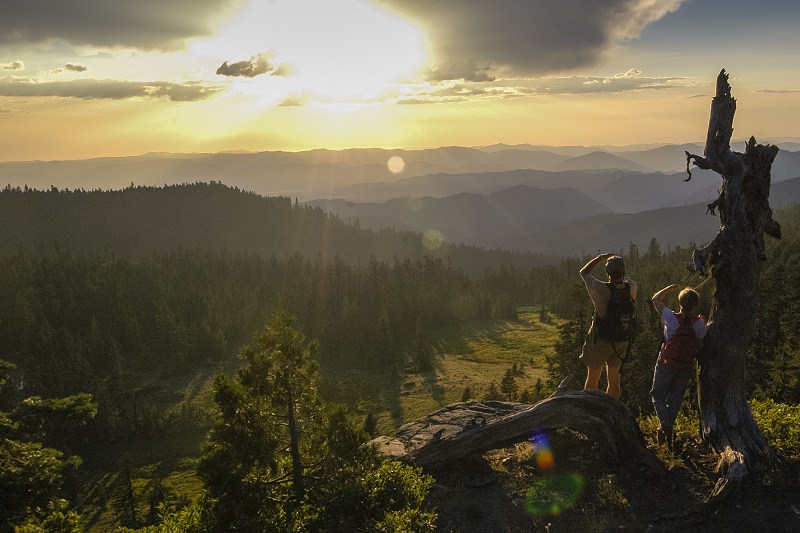 Oregon Caves Sunset