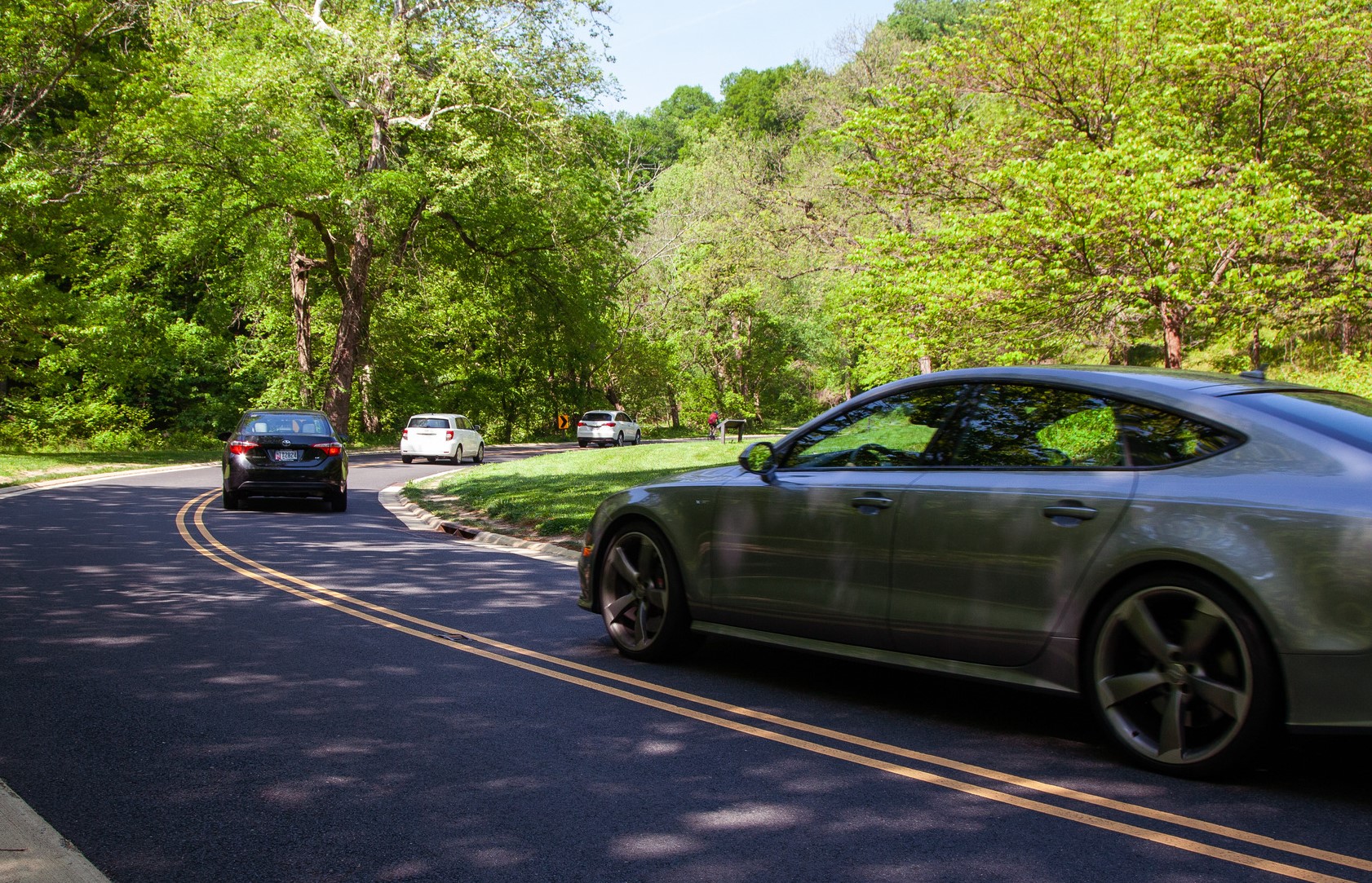 Several cars drive on a road lined with trees in a national park. Cars driving along a scenic roadway lined with trees in a national park.