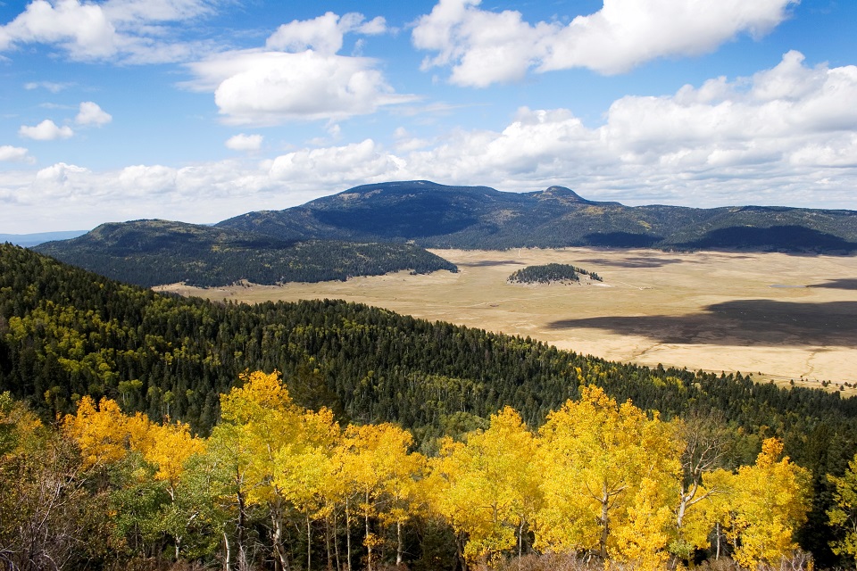 View of a ridge and canyon with fall colors