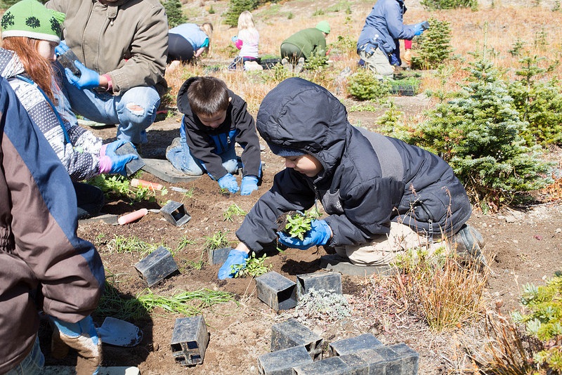 Volunteers hard at work on National Public Lands Day, at Sunrise in Mount Rainier National Park