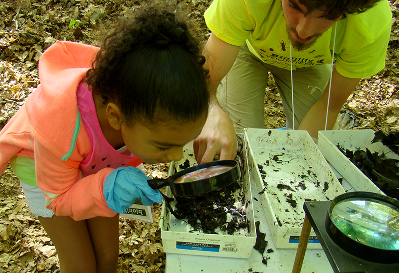 Weir Farm BioBlitz