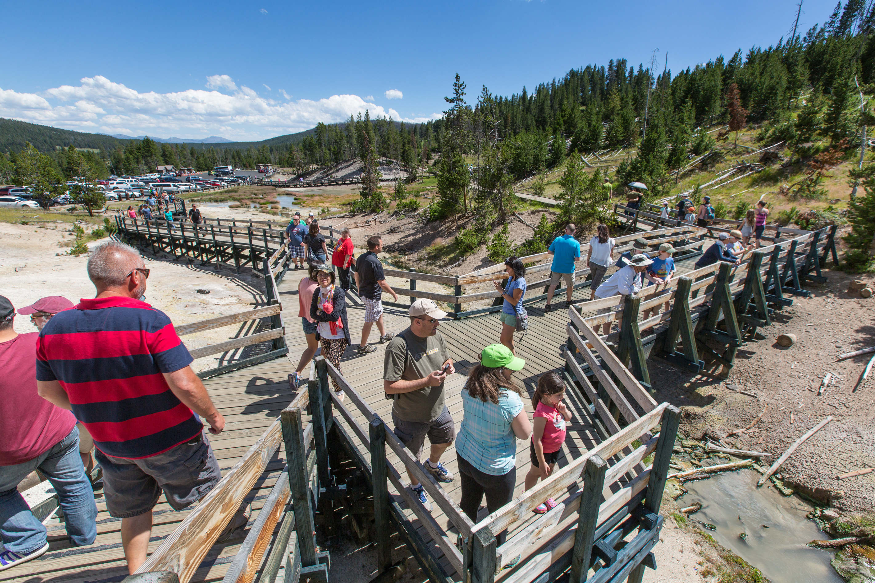 Visitors on a boardwalk