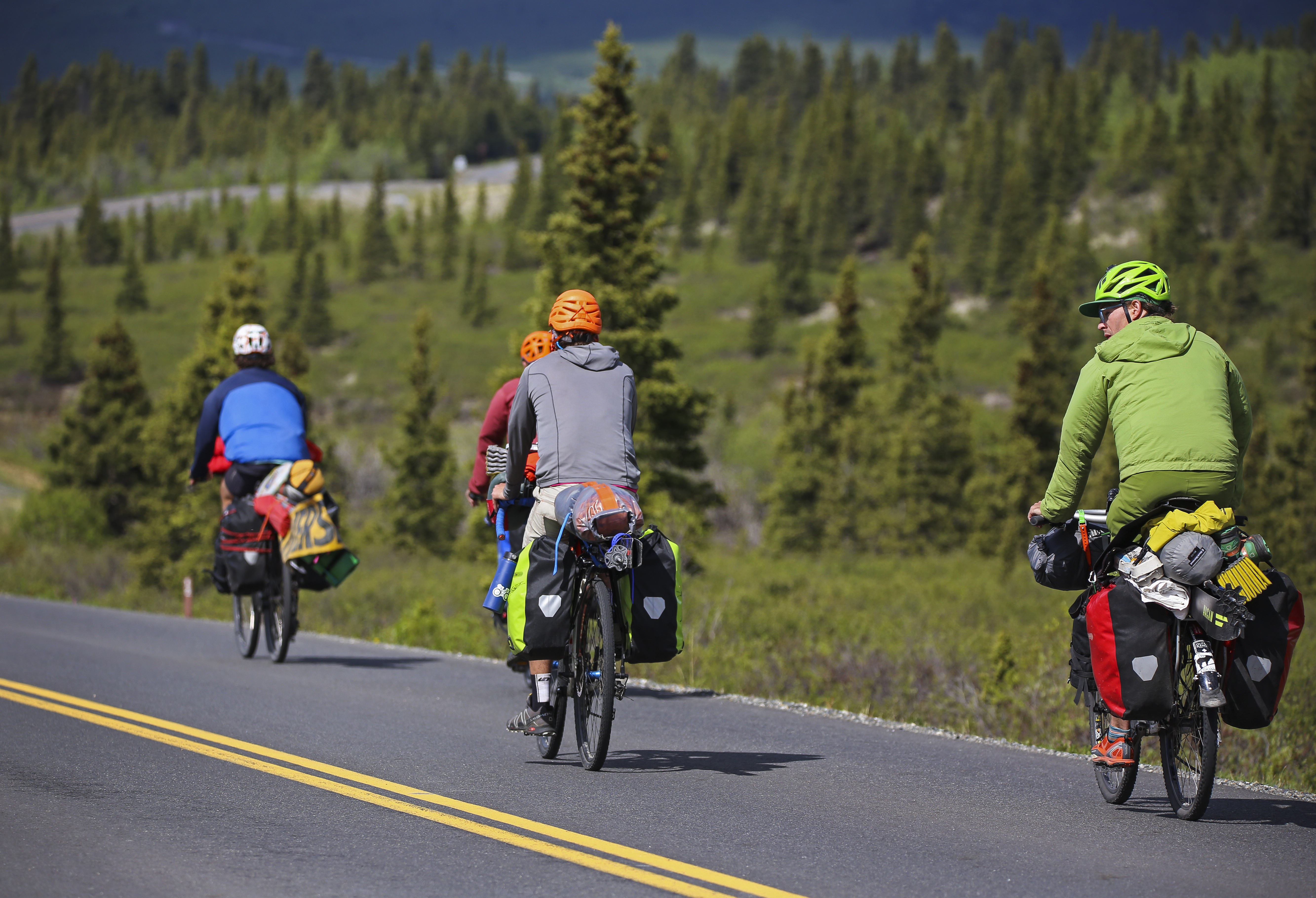 Four bikers with packs attached to their bikes, bike down a paved road surrounded by a forest.