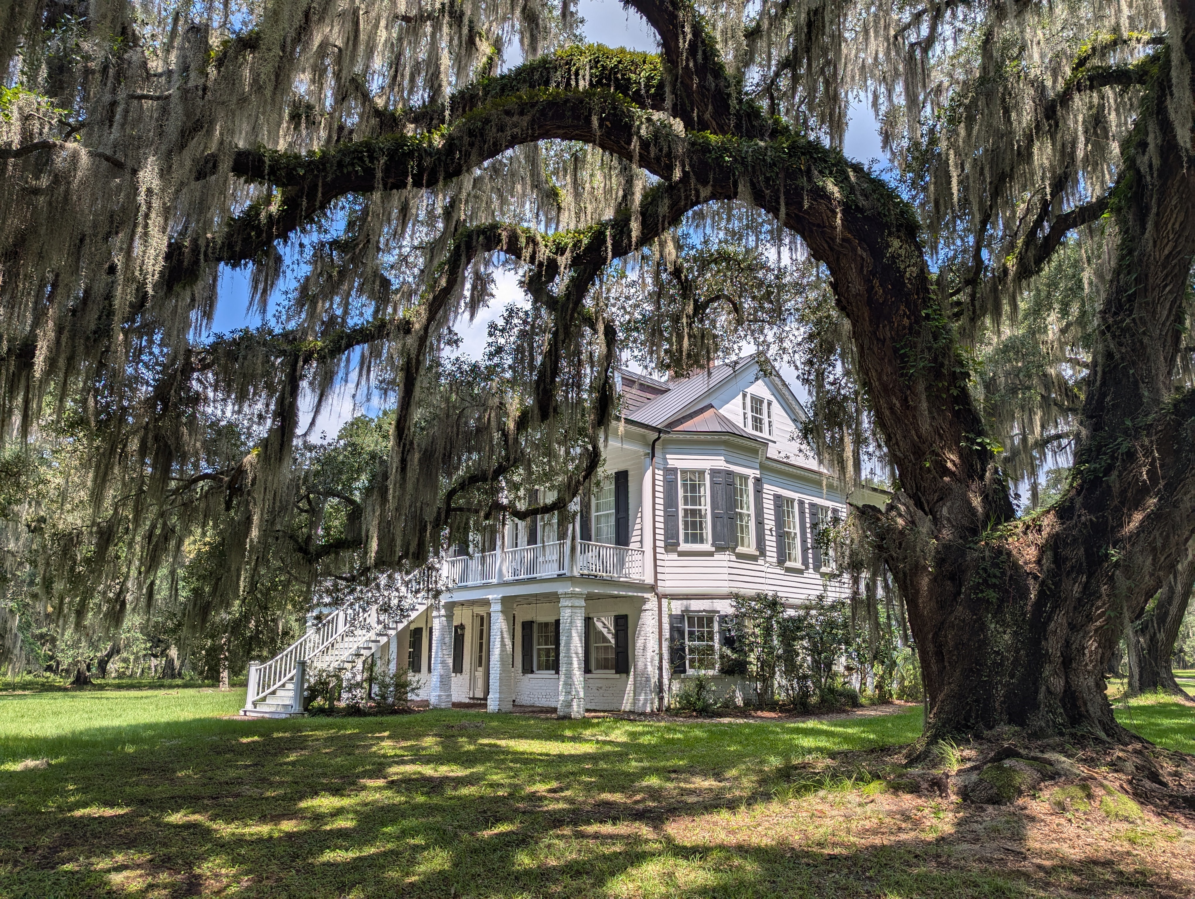 Grove Plantation A large white building is flanked by oak trees covered in green draping Spanish moss