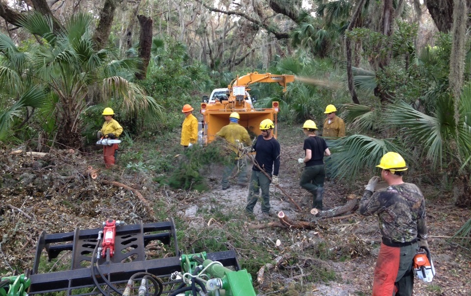 NPS crewmembers in wooded area use chainsaws and heavy equipment to clear downed trees and limbs