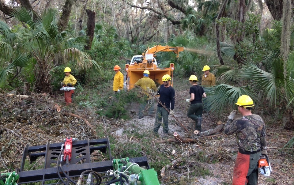 Saw crew from Gettysburg National Military Park works to clear park areas at Cumberland Island National Seashore after Hurricane Irma NPS crewmembers in wooded area use chainsaws and heavy equipment to clear downed trees and limbs