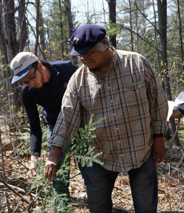 Two men inspect plants in the woods.