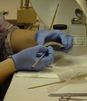 Two gloved hands work on a pottery sherd