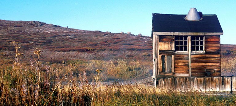 A subsistence cabin tucked in the mountains.