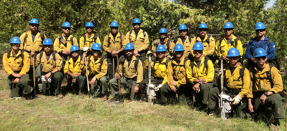 A group of men in wildland fire gear stand and kneel in front of trees.