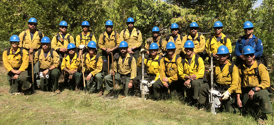 2018 NPS Arrowhead Hotshot Crew. A group of men in wildland fire gear stand and kneel in front of trees.