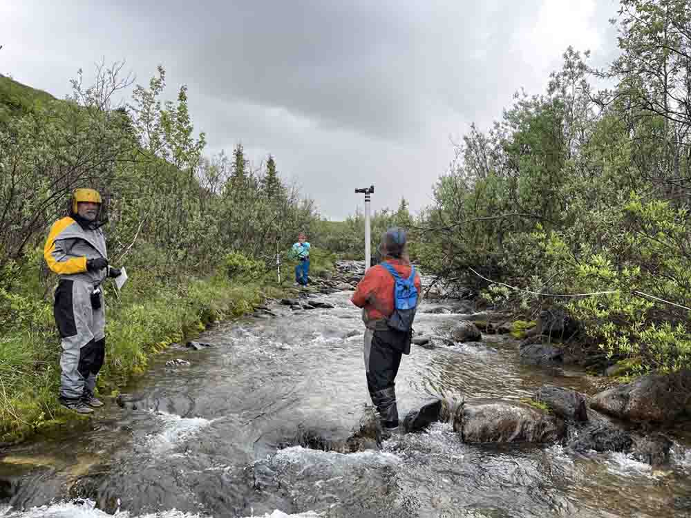 Researchers collecting data on a stream.