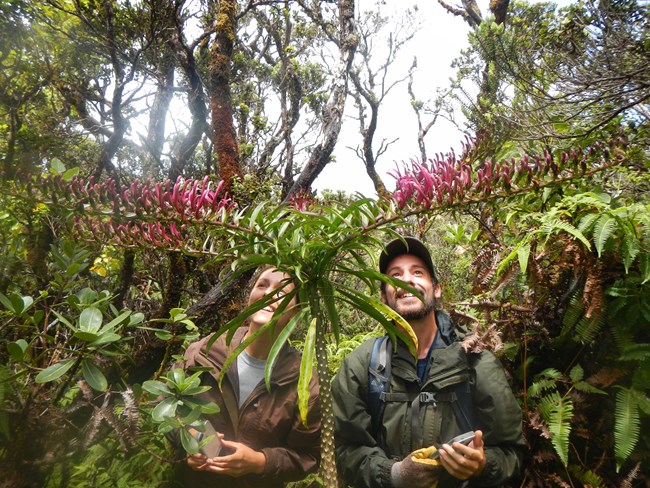 Two employees smiling in front of a blooming rainforest plant