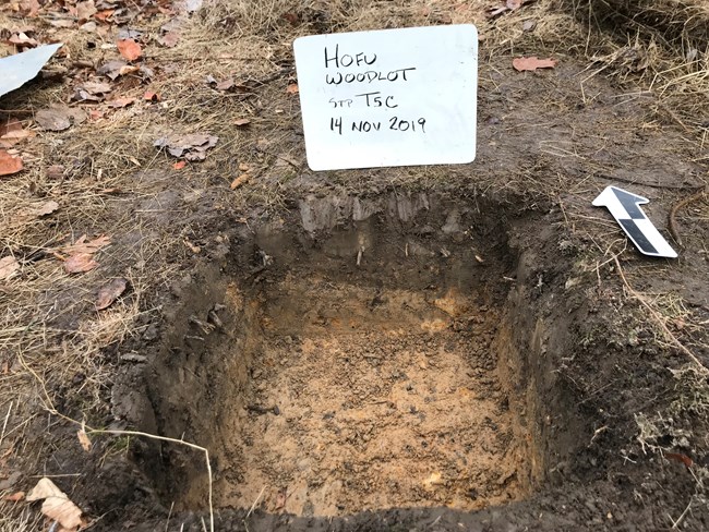 HOFU, STP excavation 2019, Woodlot site