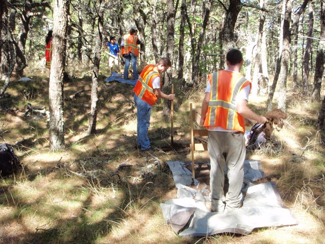Phase I survey at Great Island, CACO 2012