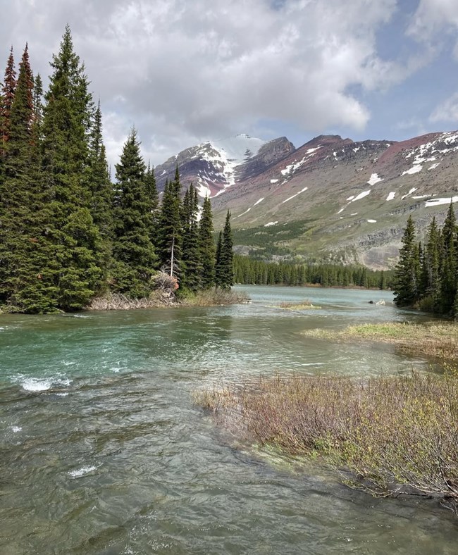 A shallow body of water with some trees and a mountain range in the distance.