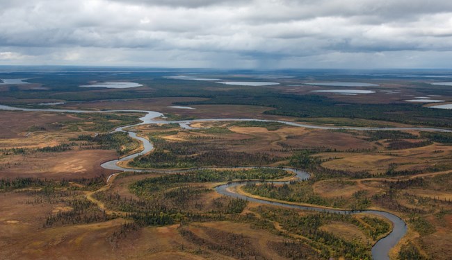 Clear river meanders through yellowish brown arctic tundra and sparse boreal forest.