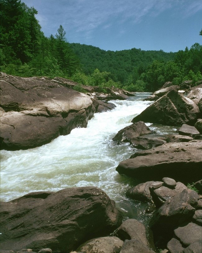 River rapids framed by rocks on either side, and tree-covered hills in the background.