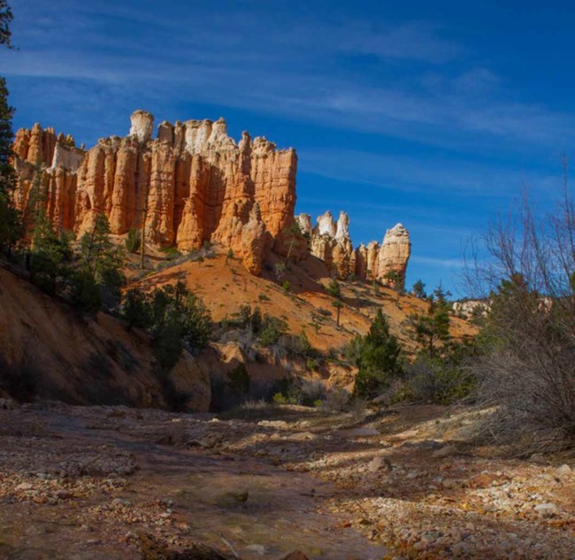 Spires of red-rock extend high into the blue sky in a rocky desert ecosystem.