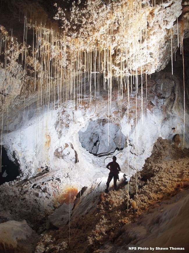 Thin cave straws hang from the ceiling with a caver standing beneath them.