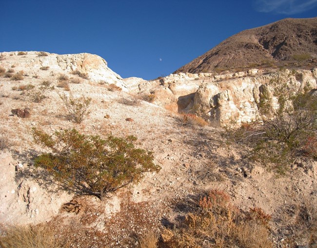 NRCA DEVA2 Sparse trees and vegetation dot a creamy tan, rocky desert outcropping.
