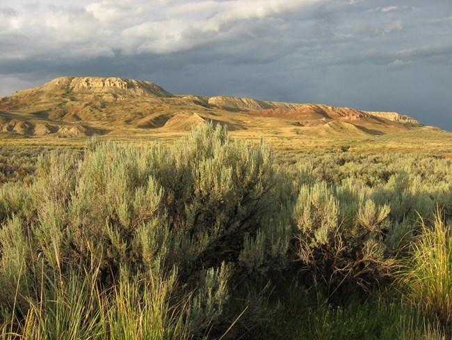 Sagebrush steppe vegetation dominates the landscape with hills in the background.