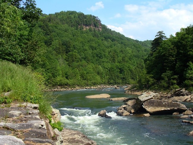 A river running over rocks and a tree-covered mountain behind it.