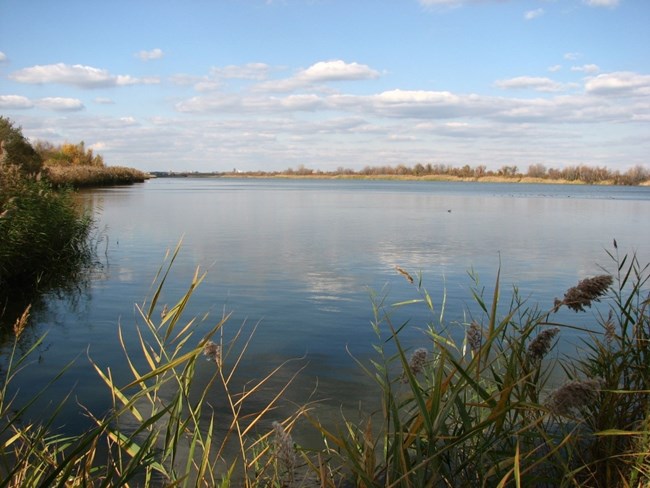 Vegetation lined pond under a partly cloudy sky.