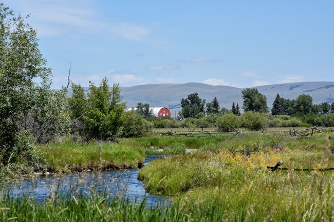 Grass and shrubs grow along the banks of a small stream flowing through wetlands, with a barn and mountains in the distance.