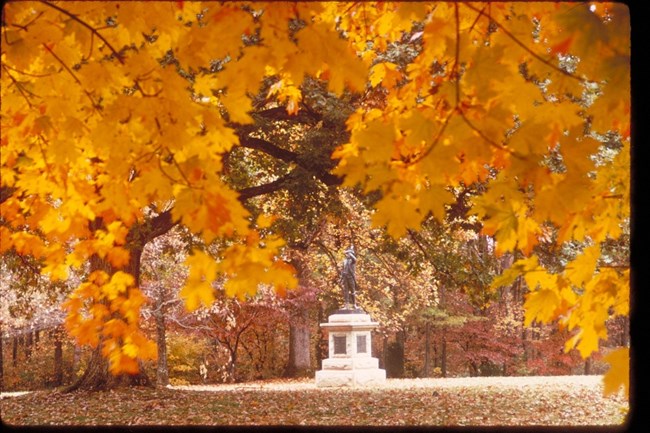A memorial statue surrounded by autumn colored leaves, and yellow leaves in the foreground.
