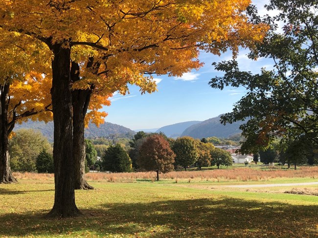 Trees with bright yellow and orange leaves; mountains are in the background.