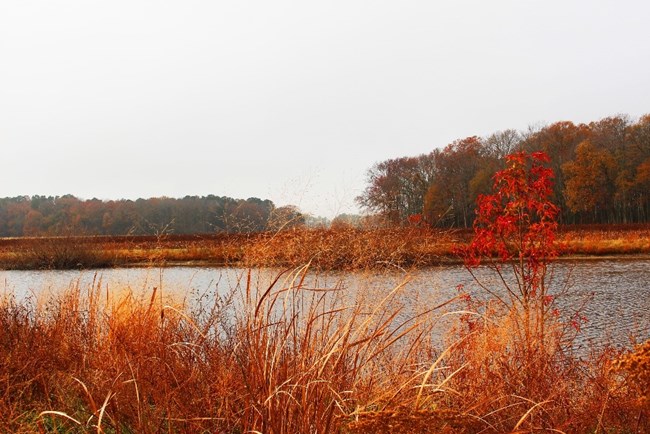 Lake with orange and red foliage in the foreground.