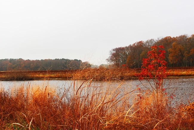 NRCA HATU Lake with orange and red foliage in the foreground.