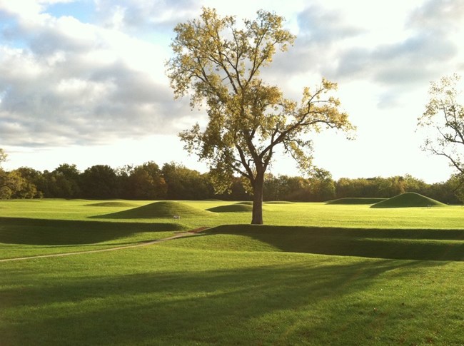 Sunrise outlines several earthen mounds in a field of green grass.  Deciduous trees dot the foreground and a forest borders the back of the field.