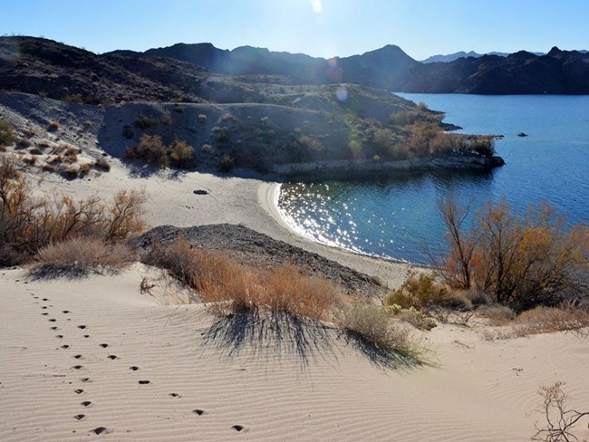 Natural Resource Condition Assessments for Lake Mead National Recreation Area - Science (U.S. National Park Service)