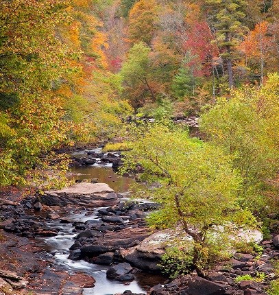Rocky river between fall colored foliage