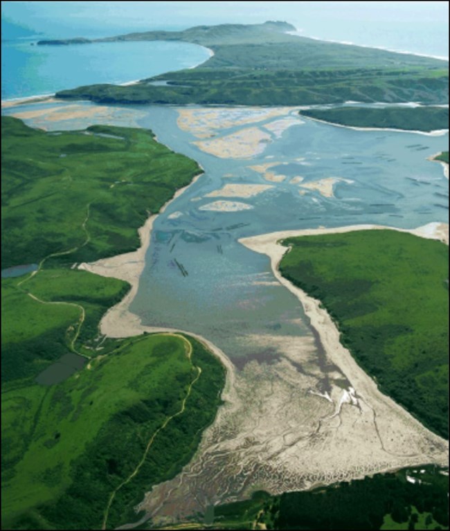 Overhead view of sandy seashore among vivid green vegetation.