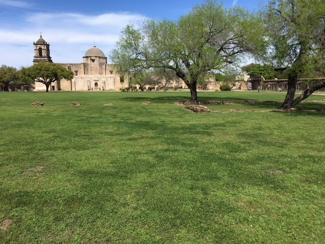 Mesquite trees grow in a large open grass lawn in front of adobe walls and church.