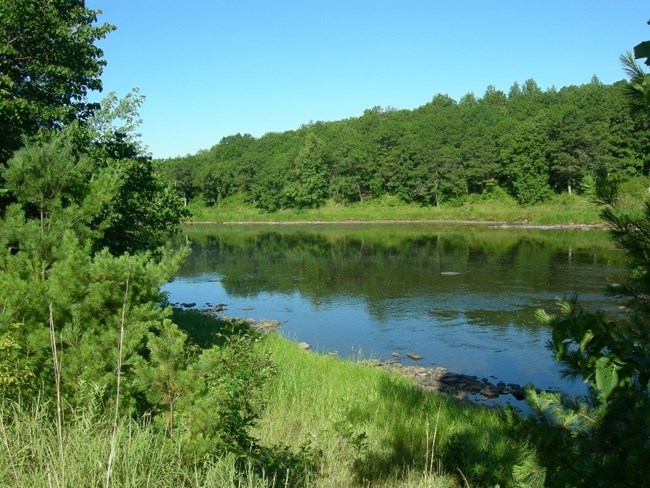 Rocks and green grass and woods line the shore of the river near Stevens Creek.